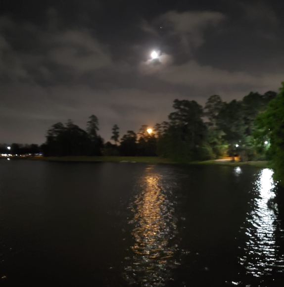 Meet your Posher, George - Picture 1 of 1